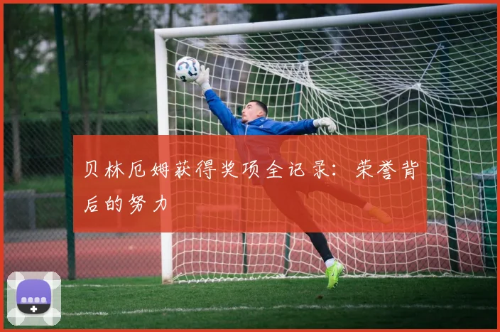贝林厄姆获得奖项全记录:荣誉背后的努力