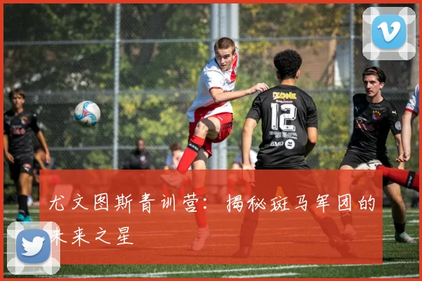 尤文图斯青训营:揭秘斑马军团的未来之星